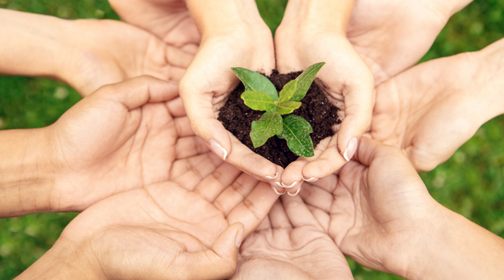 環境への取り組み